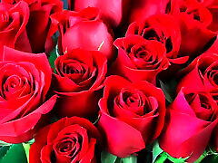 Bangla choti story sex stories full Bangla golpo beautiful mature saree chachi cheating hasband full story in Bangla audio