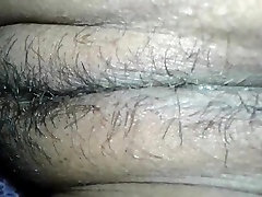 孟加拉毛茸茸的屁股