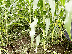 Sister-in-law&039;s tight pussy