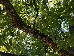 Kevy 69&039;s go to the park with me & Orgasm