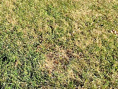 Compilation of my cum rope cumshots Compilation of my cum rope cumshots