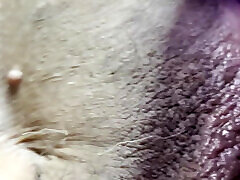 Fucked by Sex Machine Fucked by Sex Machine