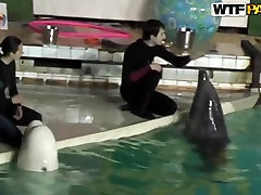 زیبا و نوجوان سبزه دهنی گرفتن اغوا شده توسط workmate در dolphinarium برای شیطان