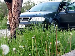 Tranny is wanking at set of sun