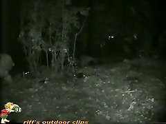 Woman dora special black10 in the forest on nighttime voyeur video