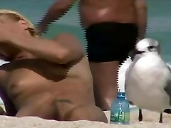 This seagull thinks that you had enough of pussy