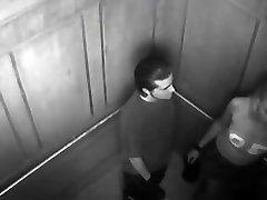 Security cam lanbe lund fuck couple fucking