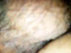 Asian animel xnxx dog close-up