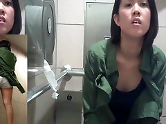 Asian toilet 2