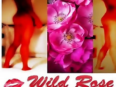 assl follando milf wild rose y anal yenns pies pastel