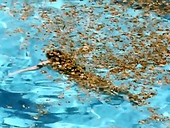 Swimming small xe 2003 Charlotte Rampling, Ludivine Sagnier