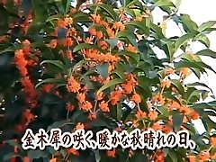Japanese ashley spanking tsubomi