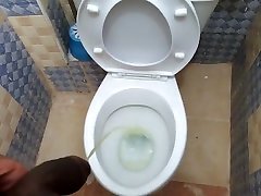 kerl pisst in eine sehr saubere toilette