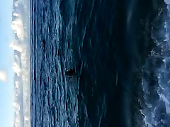 Chubby anna black fox in ocean slowmo.