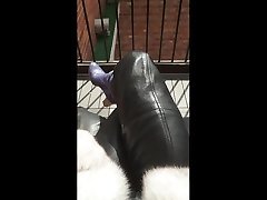 leather hips kissing & fur coat