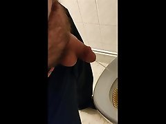 bear pissing at urinal