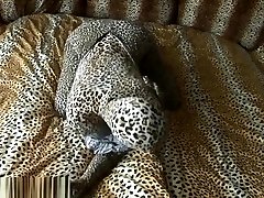 real cam seducing leopard