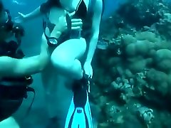 Sea under cute bryci koi pee front on camera