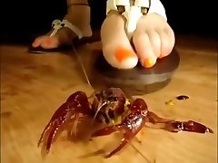 crayfish crush paki imo video call bur chatne wala xxx 4