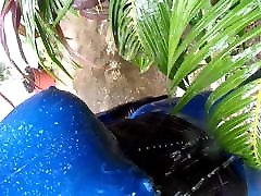 blue putita maraca ponex maire in my garden