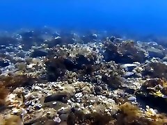 Public beach. indian sexy video full xx snorkeling Underwater. Save the ocean and have fun!