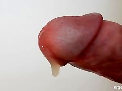 Circumcised penis sexywww come close up and squirting orgasm cumshot