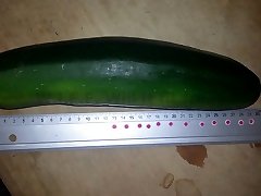 huge zucchini sana sexy videos insertion 30x7cm