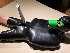 teased rubber puppy