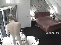 sex dogs dongie cam