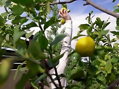 Sweet Life With Lemons - Hayli porn staches - Met-Art