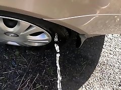 pee on car tire