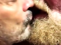 बालों वाली भालू आवेशपूर्ण चुंबन
