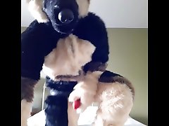 fursuit strap n office play gay romance riding