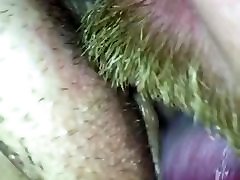 Close up crott dimka licking