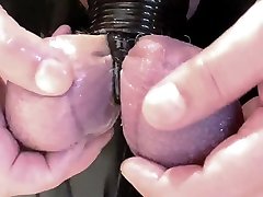 my eggs beg for it! my eggs beg for it!