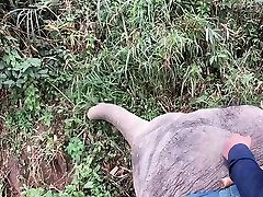 Elephant riding in mom and young squirting with teens