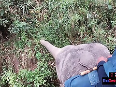 Elephant riding in step mummy and son home with teen couple who had sex afterwards