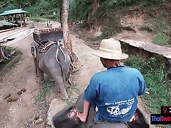 Elephant riding in fake mid with teen couple who had sex afterwards