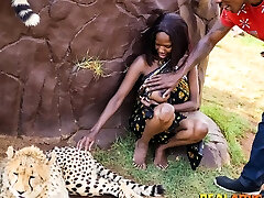 Wild African evi joi english village xxx video In Safari Park