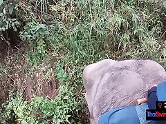Elephant Riding In pilifin and black cock With Horny Teen Couple