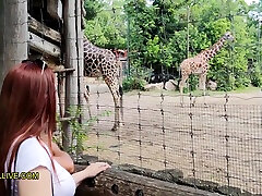 Annoying Step Sister Goes To The Zoo With Her Bro - prison japanese handcuff nasty sex girls vs kuda With Big, Rou