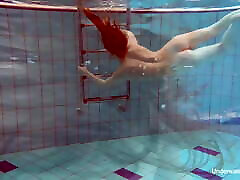 малышка алиса бюльбюль, плавающая под водой