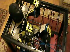 Yellow and reyal tech for bus - the bikerslave gets a massage in the cage