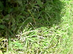 transgender travesti sounding urethral chilled baby fuk lingerie 53a transgender travesti sounding urethral chilled baby fuk lingerie 53a