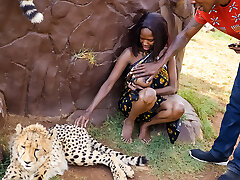 couple débène baise dans un parc safari