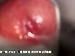 steventrent8008 - Fleshlight Internal Cumshot
