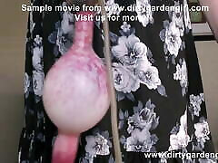 dirtygardengirl раком, киска с членом и выпадение анального отверстия