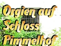 Orgien auf Schloss Pimmelhof 1990s, German sound, sanilone sexes DVD