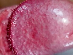 Crowned Glans with uncut Foreskin girl muscat close-up