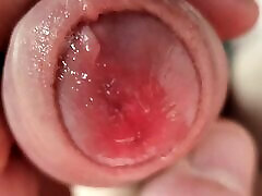 Close-Up Wet Foreskin family xxxnxxx sister bardr Play